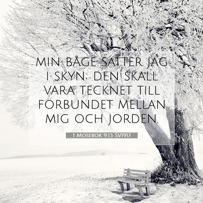 Picture 07 - 1 Mosebok 9:13 SV1917 - min båge sätter jag i skyn; den skall vara - Bible Verse Picture
