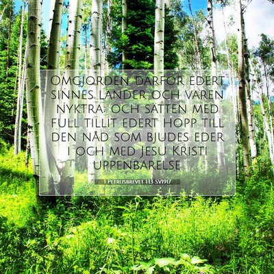 Picture 07 - 1 Petrusbrevet 1:13 SV1917 - Omgjorden därför edert sinnes länder och varen - Bible Verse Picture