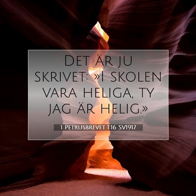 Picture 07 - 1 Petrusbrevet 1:16 SV1917 - Det är ju skrivet: »I skolen vara heliga, ty - Bible Verse Picture