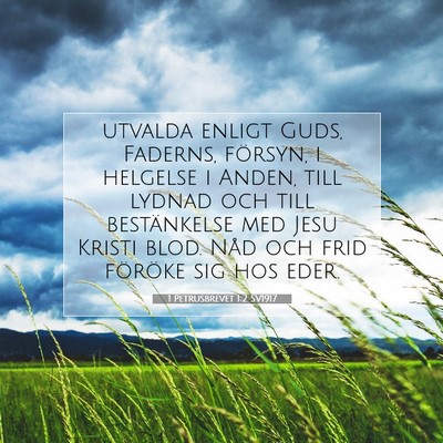 Picture 07 - 1 Petrusbrevet 1:2 SV1917 - utvalda enligt Guds, Faderns, försyn, i helgelse - Bible Verse Picture