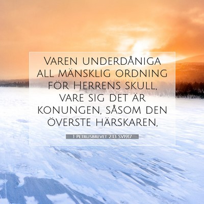 Picture 07 - 1 Petrusbrevet 2:13 SV1917 - Varen underdåniga all mänsklig ordning för - Bible Verse Picture