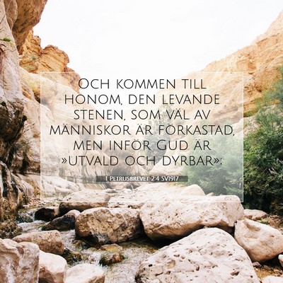 Picture 07 - 1 Petrusbrevet 2:4 SV1917 - Och kommen till honom, den levande stenen, som - Bible Verse Picture