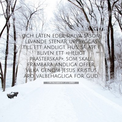 Picture 07 - 1 Petrusbrevet 2:5 SV1917 - och låten eder själva såsom levande stenar - Bible Verse Picture
