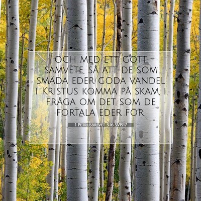 Picture 07 - 1 Petrusbrevet 3:16 SV1917 - och med ett gott samvete, så att de som smäda - Bible Verse Picture