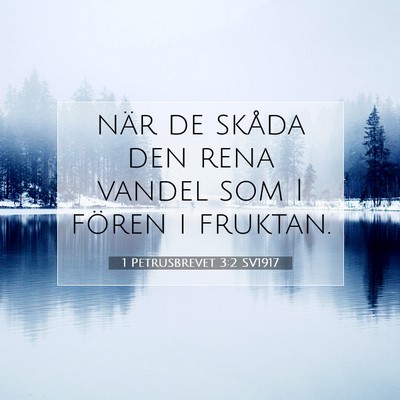 Picture 07 - 1 Petrusbrevet 3:2 SV1917 - när de skåda den rena vandel som I fören i - Bible Verse Picture