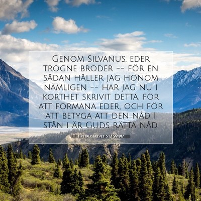 Picture 07 - 1 Petrusbrevet 5:12 SV1917 - Genom Silvanus, eder trogne broder -- för en - Bible Verse Picture