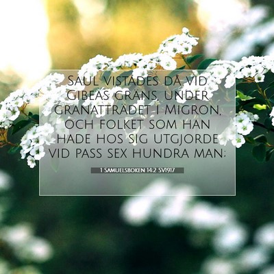 Picture 07 - 1 Samuelsboken 14:2 SV1917 - Saul vistades då vid Gibeas gräns, under - Bible Verse Picture