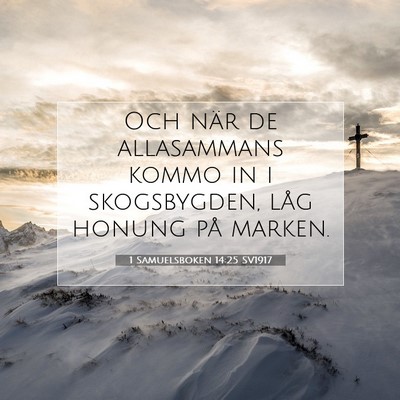 Picture 07 - 1 Samuelsboken 14:25 SV1917 - Och när de allasammans kommo in i skogsbygden, - Bible Verse Picture