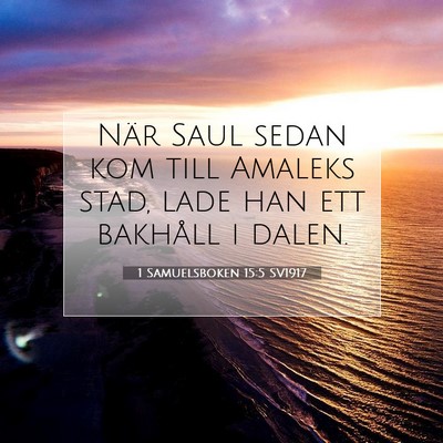 Picture 07 - 1 Samuelsboken 15:5 SV1917 - När Saul sedan kom till Amaleks stad, lade han - Bible Verse Picture