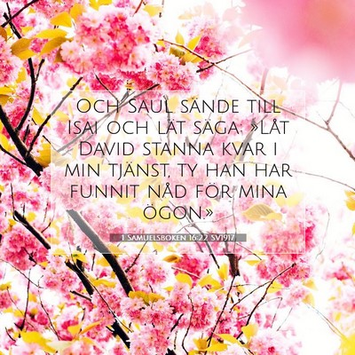 Picture 07 - 1 Samuelsboken 16:22 SV1917 - Och Saul sände till Isai och lät säga: »Låt - Bible Verse Picture