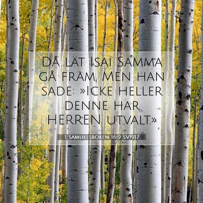 Picture 07 - 1 Samuelsboken 16:9 SV1917 - Då lät Isai Samma gå fram. Men han sade: - Bible Verse Picture