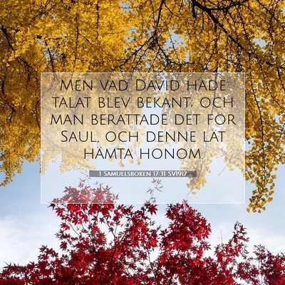Picture 07 - 1 Samuelsboken 17:31 SV1917 - Men vad David hade talat blev bekant; och man - Bible Verse Picture