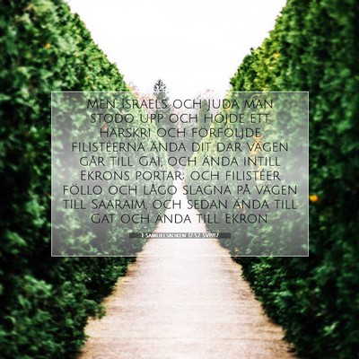 Picture 07 - 1 Samuelsboken 17:52 SV1917 - Men Israels och Juda man stodo upp och höjde ett - Bible Verse Picture