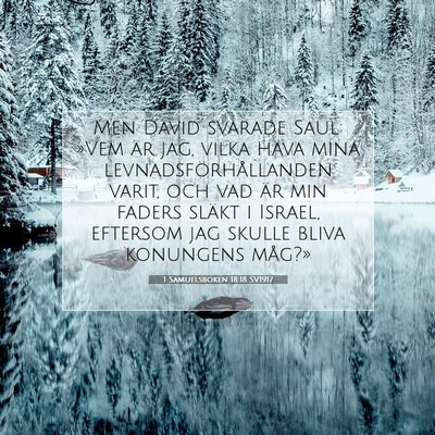 Picture 07 - 1 Samuelsboken 18:18 SV1917 - Men David svarade Saul: »Vem är jag, vilka hava - Bible Verse Picture