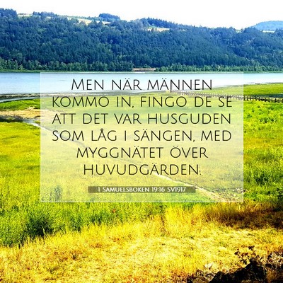 Picture 07 - 1 Samuelsboken 19:16 SV1917 - Men när männen kommo in, fingo de se att det - Bible Verse Picture