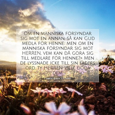 Picture 07 - 1 Samuelsboken 2:25 SV1917 - Om en människa försyndar sig mot en annan, så - Bible Verse Picture
