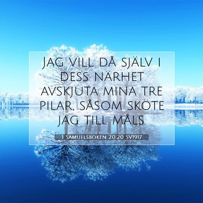 Picture 07 - 1 Samuelsboken 20:20 SV1917 - Jag vill då själv i dess närhet avskjuta mina - Bible Verse Picture