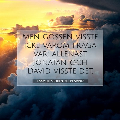 Picture 07 - 1 Samuelsboken 20:39 SV1917 - Men gossen visste icke varom fråga var; allenast - Bible Verse Picture