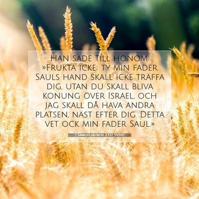 Picture 07 - 1 Samuelsboken 23:17 SV1917 - Han sade till honom: »Frukta icke; ty min fader - Bible Verse Picture