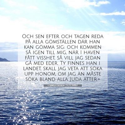 Picture 07 - 1 Samuelsboken 23:23 SV1917 - Och sen efter och tagen reda på alla - Bible Verse Picture