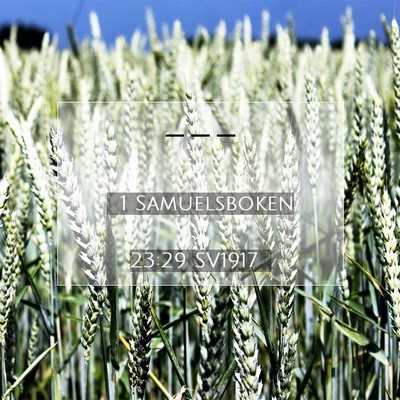 Picture 07 - 1 Samuelsboken 23:29 SV1917 -  - Bible Verse Picture