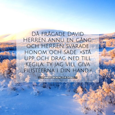 Picture 07 - 1 Samuelsboken 23:4 SV1917 - Då frågade David HERREN ännu en gång, och - Bible Verse Picture