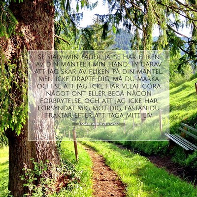 Picture 07 - 1 Samuelsboken 24:12 SV1917 - Se själv, min fader, ja, se här fliken av din - Bible Verse Picture