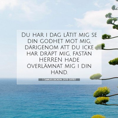 Picture 07 - 1 Samuelsboken 24:19 SV1917 - Du har i dag låtit mig se din godhet mot mig, - Bible Verse Picture