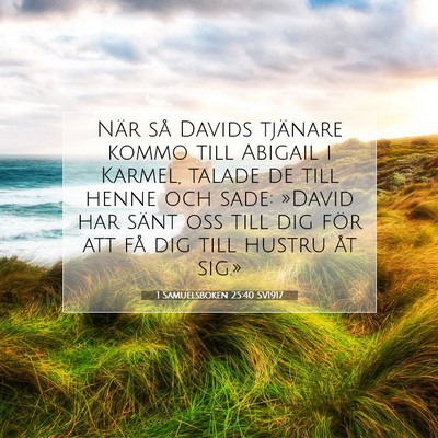 Picture 07 - 1 Samuelsboken 25:40 SV1917 - När så Davids tjänare kommo till Abigail i - Bible Verse Picture