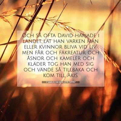 Picture 07 - 1 Samuelsboken 27:9 SV1917 - Och så ofta David härjade i landet, lät han - Bible Verse Picture