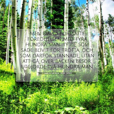 Picture 07 - 1 Samuelsboken 30:10 SV1917 - Men David fortsatte förföljelsen med fyra - Bible Verse Picture