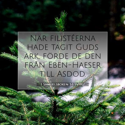 Picture 07 - 1 Samuelsboken 5:1 SV1917 - När filistéerna hade tagit Guds ark, förde de - Bible Verse Picture