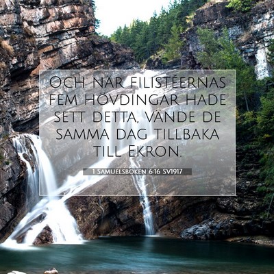 Picture 07 - 1 Samuelsboken 6:16 SV1917 - Och när filistéernas fem hövdingar hade sett - Bible Verse Picture