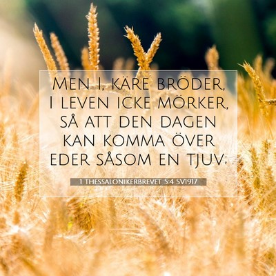 Picture 07 - 1 Thessalonikerbrevet 5:4 SV1917 - Men I, käre bröder, I leven icke mörker, så - Bible Verse Picture