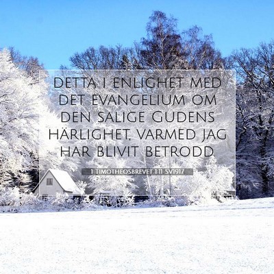 Picture 07 - 1 Timotheosbrevet 1:11 SV1917 - detta i enlighet med det evangelium om den salige - Bible Verse Picture