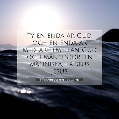 Picture 07 - 1 Timotheosbrevet 2:5 SV1917 - Ty en enda är Gud, och en enda är medlare - Bible Verse Picture