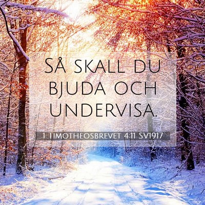 Picture 07 - 1 Timotheosbrevet 4:11 SV1917 - Så skall du bjuda och - Bible Verse Picture