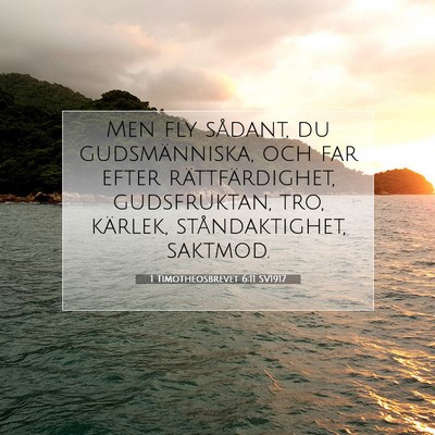 Picture 07 - 1 Timotheosbrevet 6:11 SV1917 - Men fly sådant, du gudsmänniska, och far efter - Bible Verse Picture