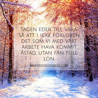 Picture 07 - 2 Johannesbrevet 1:8 SV1917 - Tagen eder till vara, så att I icke förloren - Bible Verse Picture