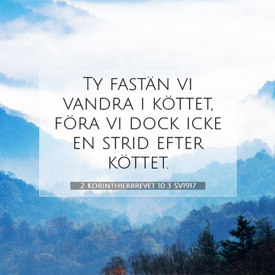 Picture 07 - 2 Korinthierbrevet 10:3 SV1917 - Ty fastän vi vandra i köttet, föra vi dock - Bible Verse Picture