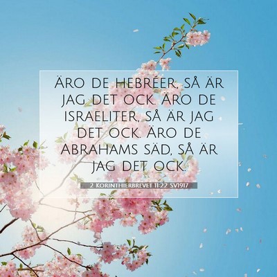Picture 07 - 2 Korinthierbrevet 11:22 SV1917 - Äro de hebréer, så är jag det ock. Äro de - Bible Verse Picture