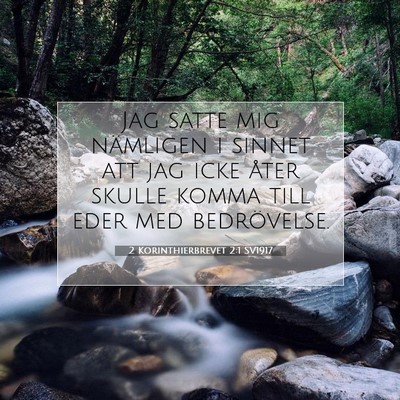 Picture 07 - 2 Korinthierbrevet 2:1 SV1917 - Jag satte mig nämligen i sinnet att jag icke - Bible Verse Picture
