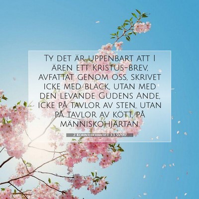 Picture 07 - 2 Korinthierbrevet 3:3 SV1917 - Ty det är uppenbart att I ären ett - Bible Verse Picture