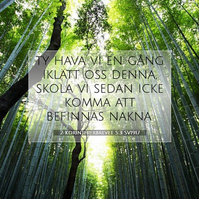 Picture 07 - 2 Korinthierbrevet 5:3 SV1917 - ty hava vi en gång iklätt oss denna, skola vi - Bible Verse Picture
