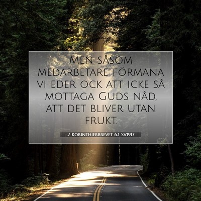 Picture 07 - 2 Korinthierbrevet 6:1 SV1917 - Men såsom medarbetare förmana vi eder ock att - Bible Verse Picture