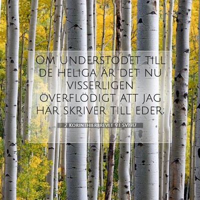 Picture 07 - 2 Korinthierbrevet 9:1 SV1917 - Om understödet till de heliga är det nu - Bible Verse Picture