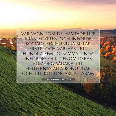 Picture 07 - 2 Krönikeboken 1:17 SV1917 - Var vagn som de hämtade upp från Egypten och - Bible Verse Picture
