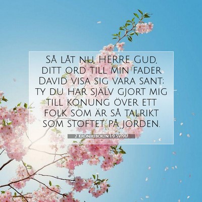 Picture 07 - 2 Krönikeboken 1:9 SV1917 - Så låt nu, HERRE Gud, ditt ord till min fader - Bible Verse Picture
