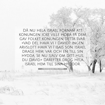 Picture 07 - 2 Krönikeboken 10:16 SV1917 - Då nu hela Israel förnam att konungen icke - Bible Verse Picture