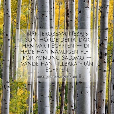 Picture 07 - 2 Krönikeboken 10:2 SV1917 - När Jerobeam, Nebats son, hörde detta, där han - Bible Verse Picture